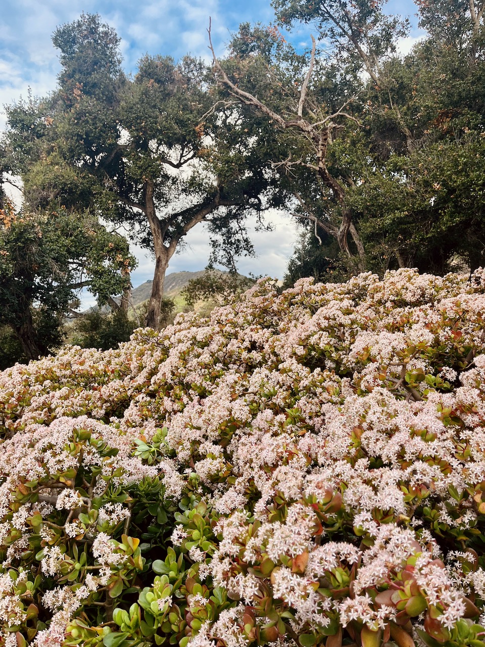 December 19th, The Last&nbsp;Bit