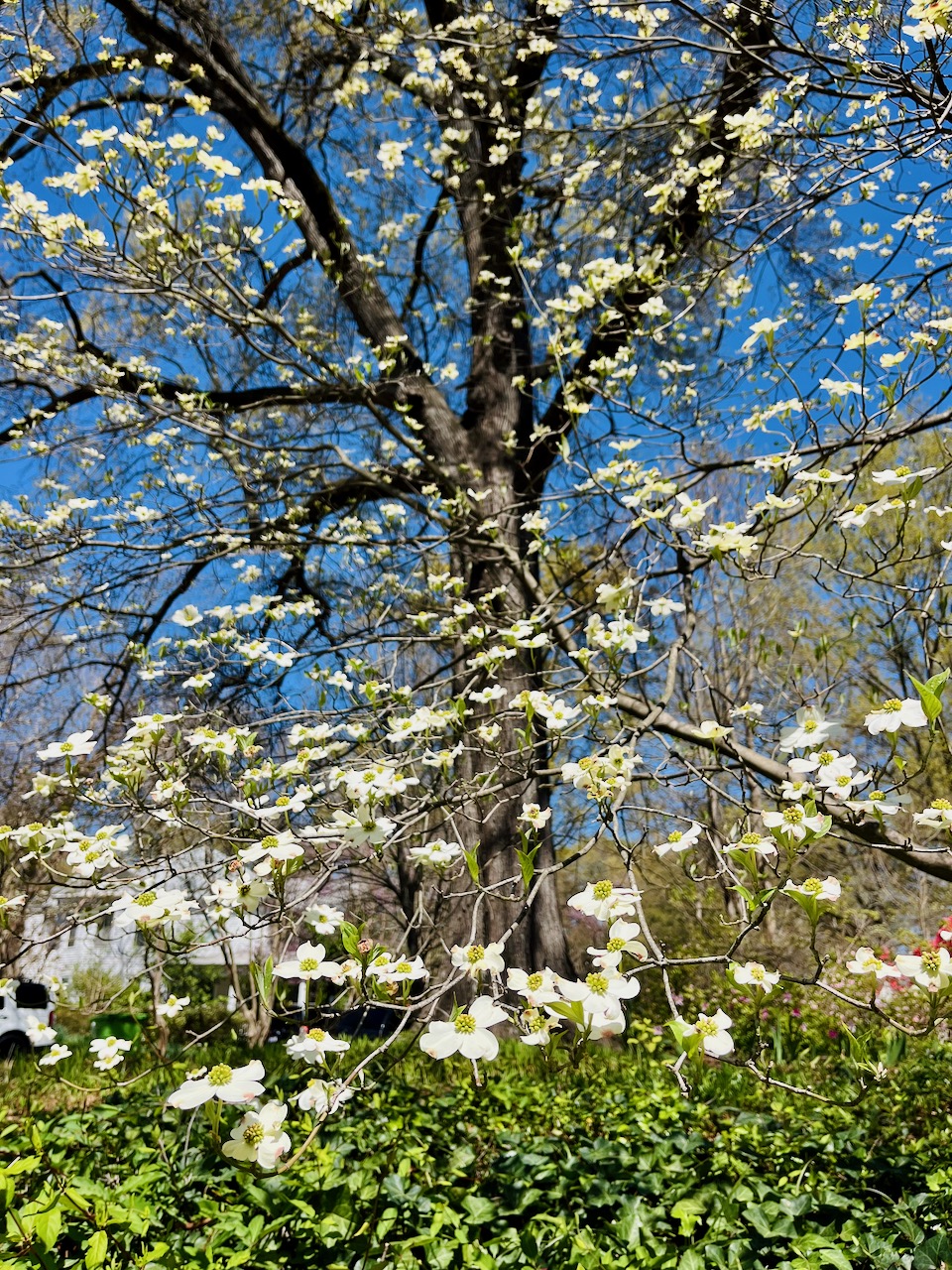 March 30th, Ways of Being